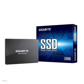 256GB Gigabyte(GP-GSTFS31256GTND)