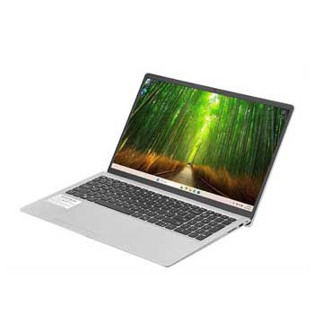 Dell 15 DC15250- CPH996 (Bạc)